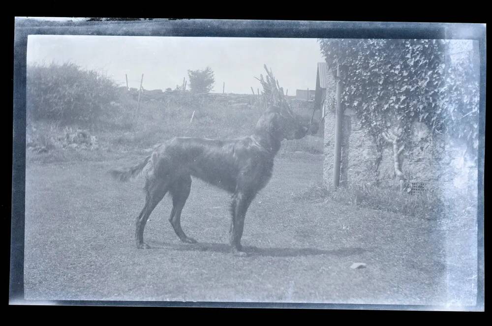 An image from the Dartmoor Trust Archive