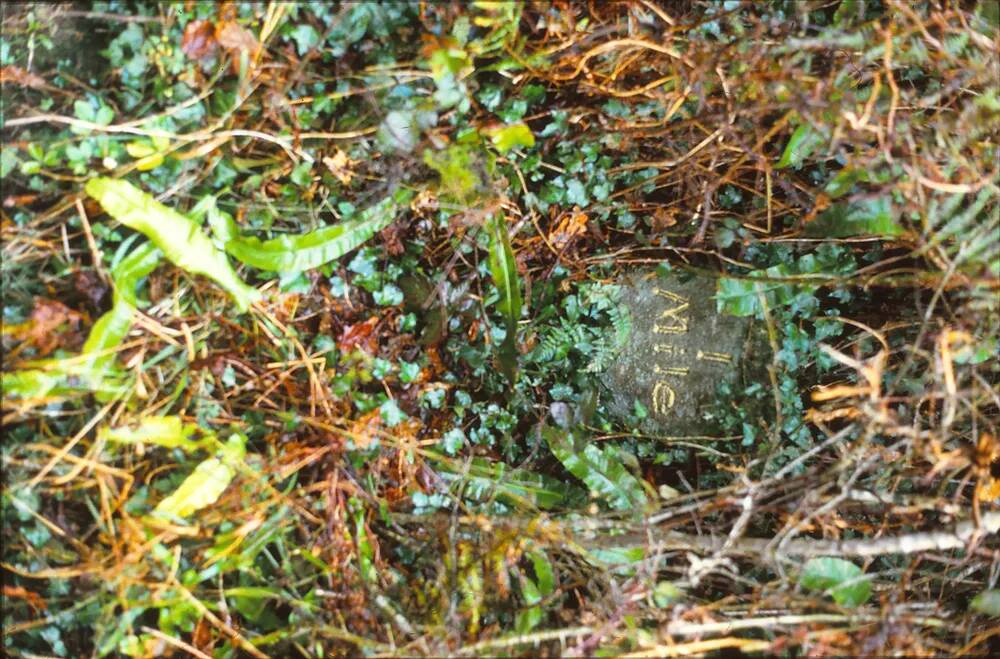 Ashburton parole stone