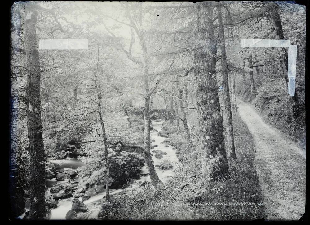 Buckland Drive, Webburn Valley, Buckland in the Moor