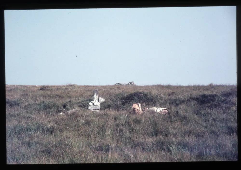 Peat Pass at Marsh Hill