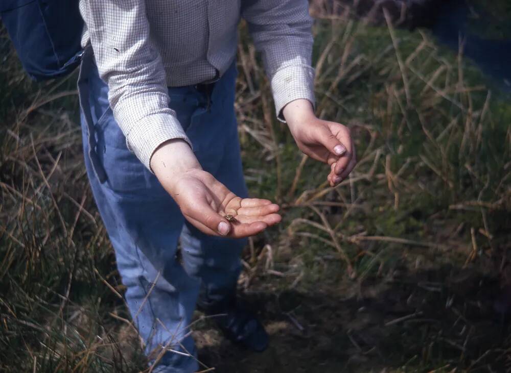 An image from the Dartmoor Trust Archive