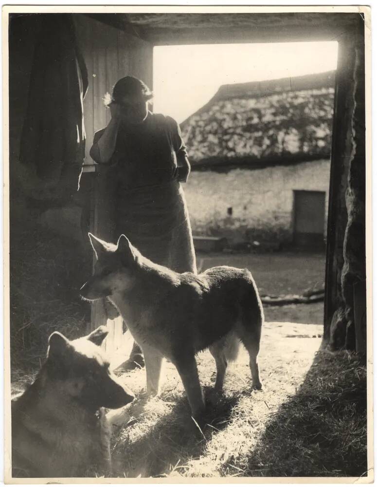 An image from the Dartmoor Trust Archive