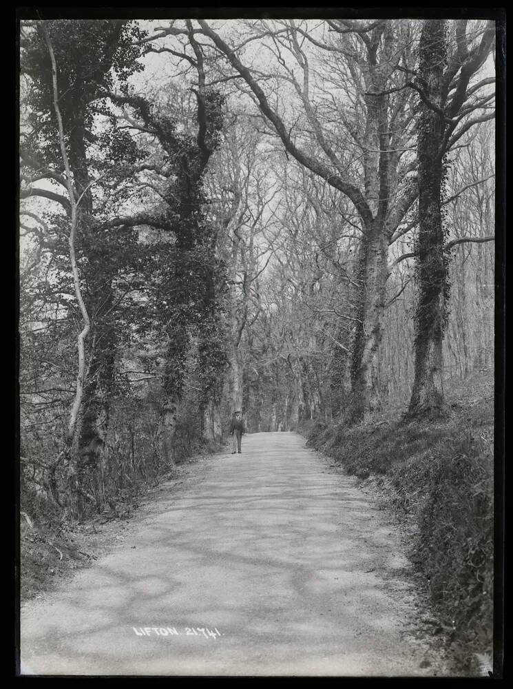 Leafy Lane, Lifton