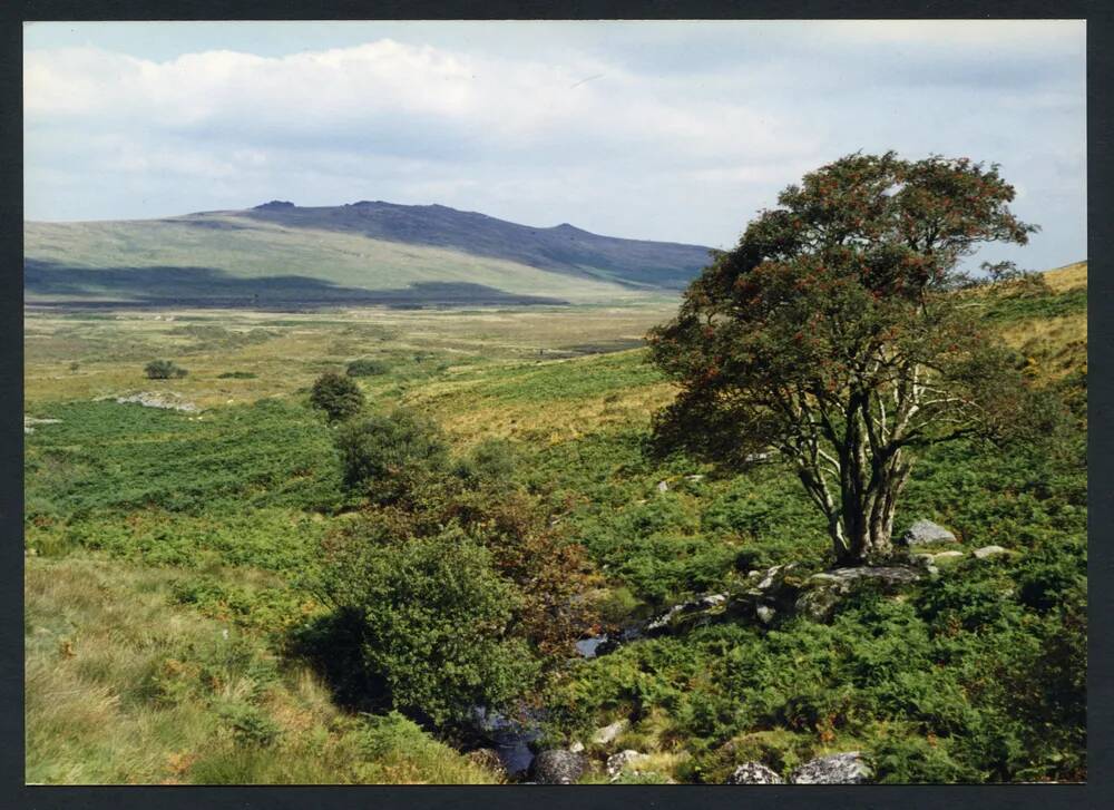 An image from the Dartmoor Trust Archive