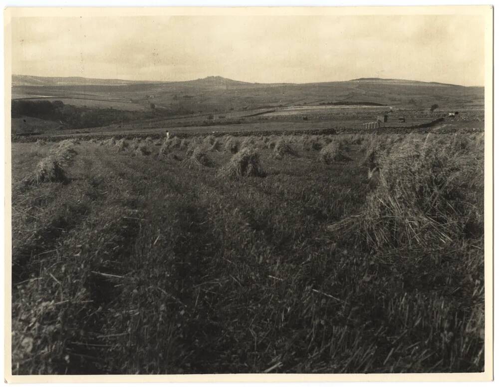 An image from the Dartmoor Trust Archive