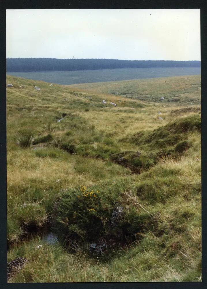 An image from the Dartmoor Trust Archive