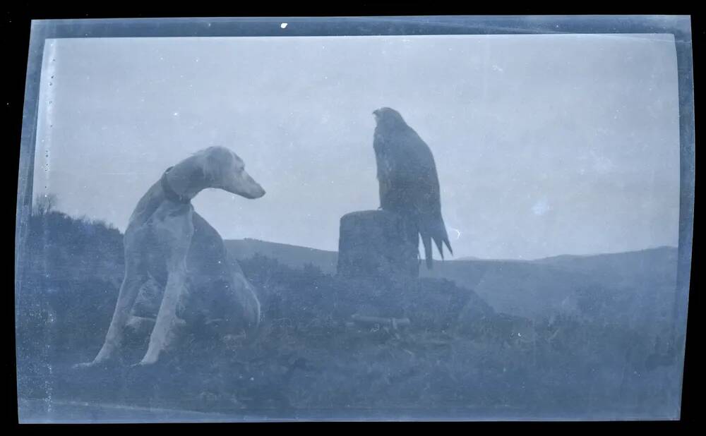 An image from the Dartmoor Trust Archive