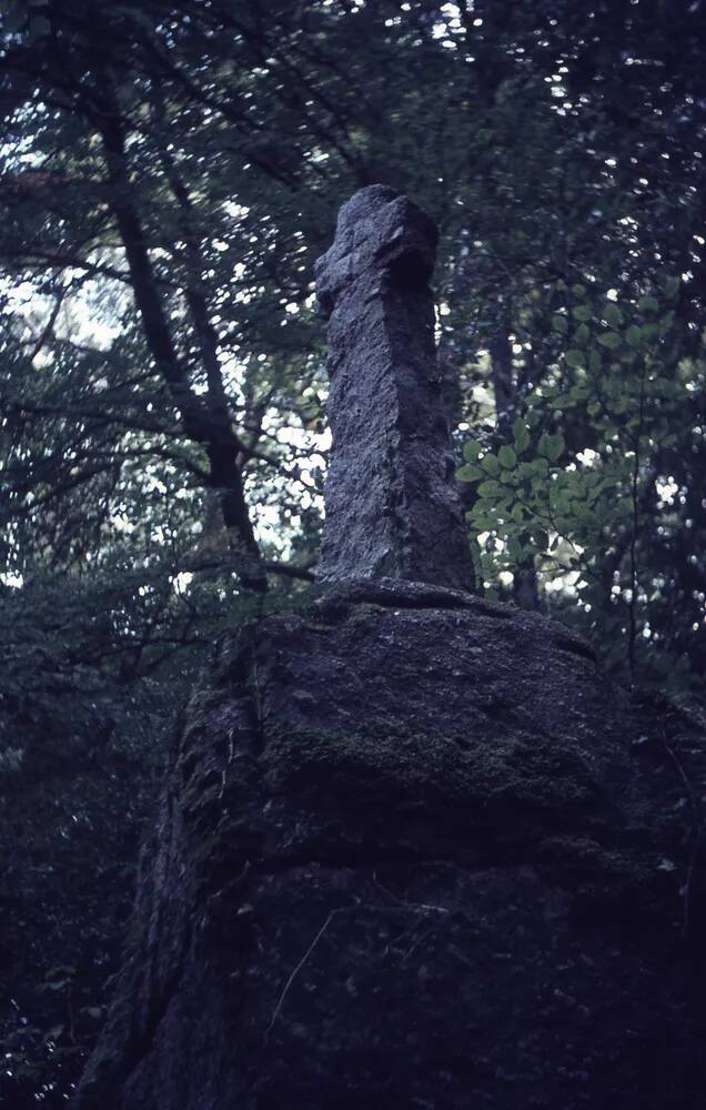 An image from the Dartmoor Trust Archive