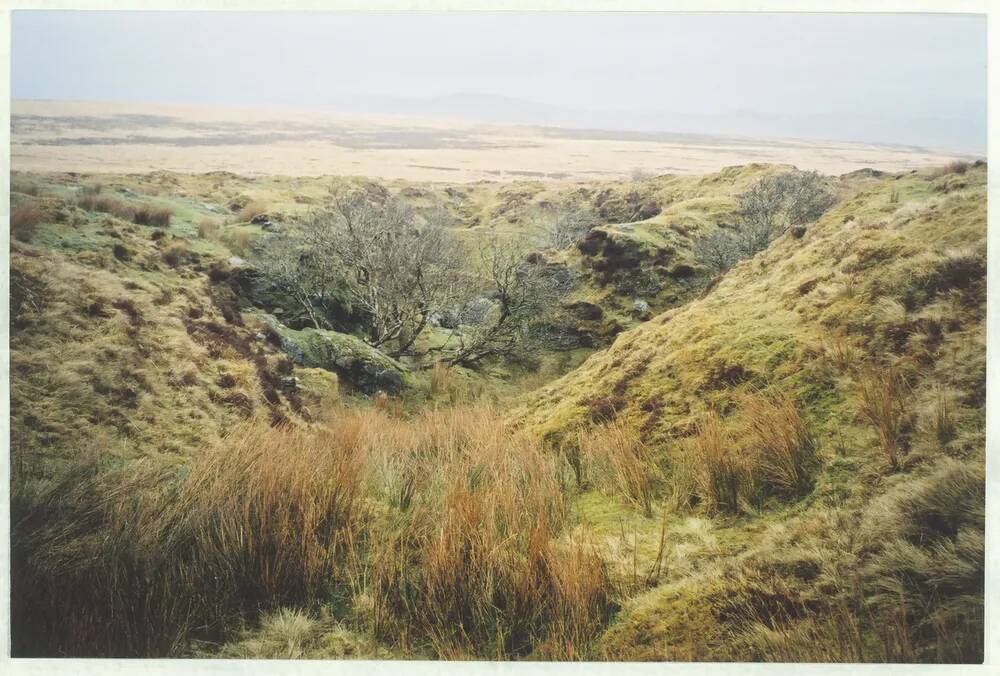 An image from the Dartmoor Trust Archive