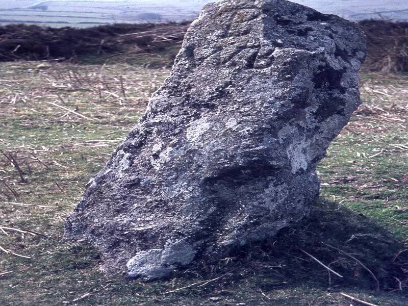 An image from the Dartmoor Trust Archive