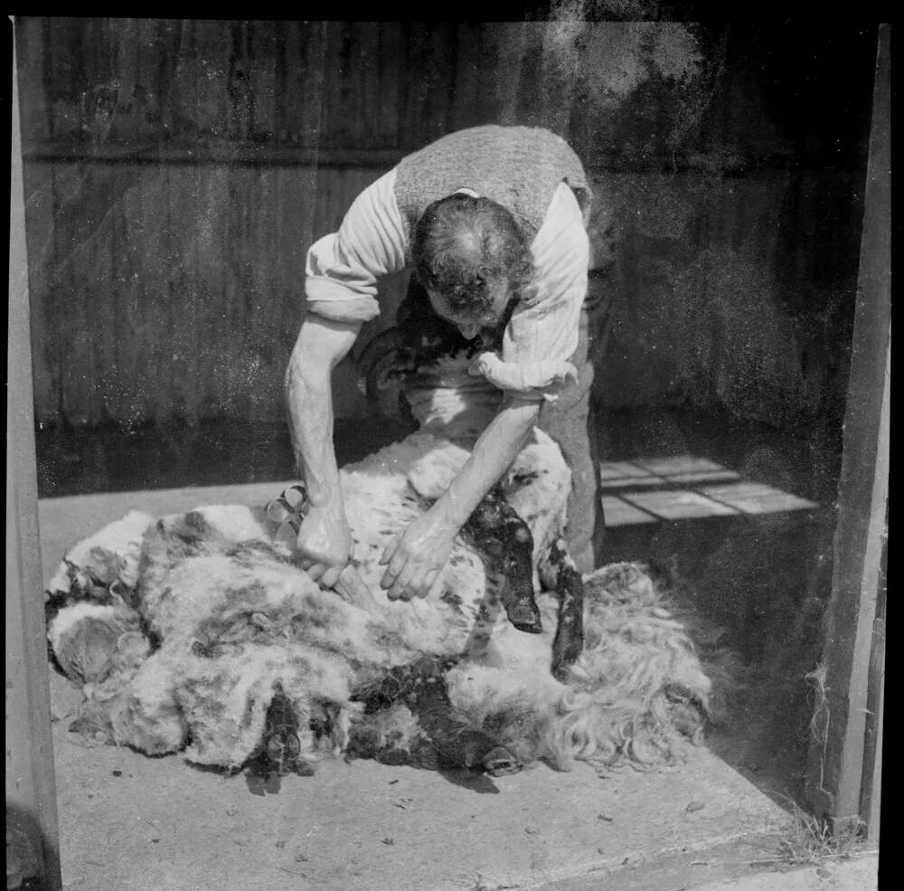 An image from the Dartmoor Trust Archive