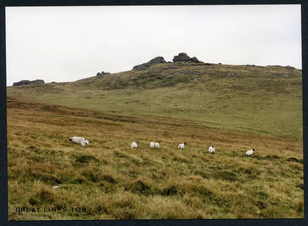 An image from the Dartmoor Trust Archive