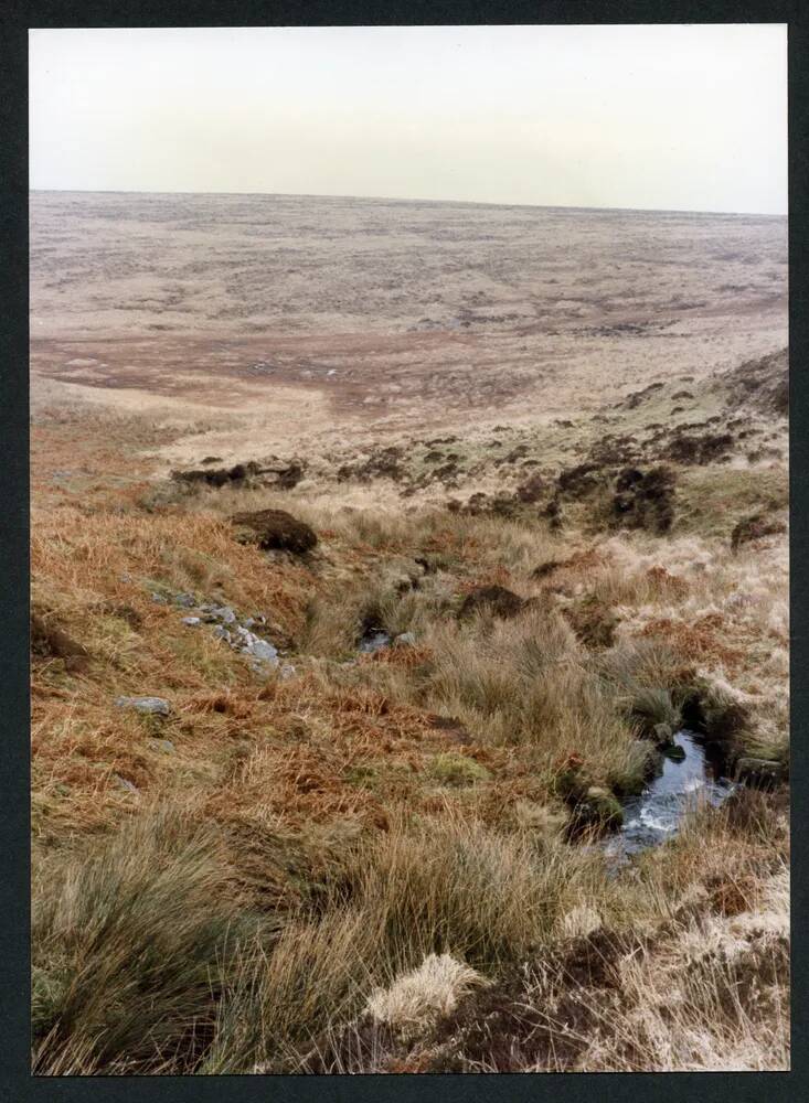 An image from the Dartmoor Trust Archive