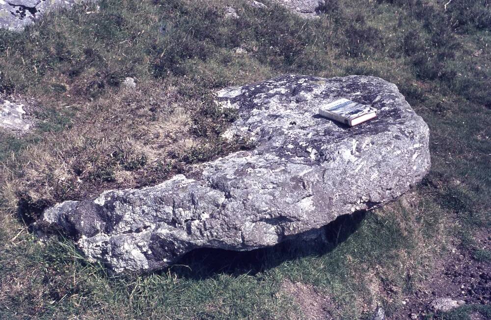 An image from the Dartmoor Trust Archive