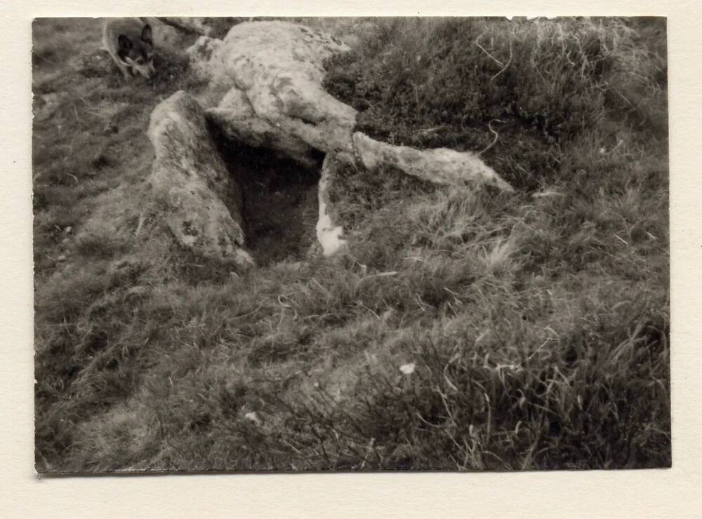 An image from the Dartmoor Trust Archive