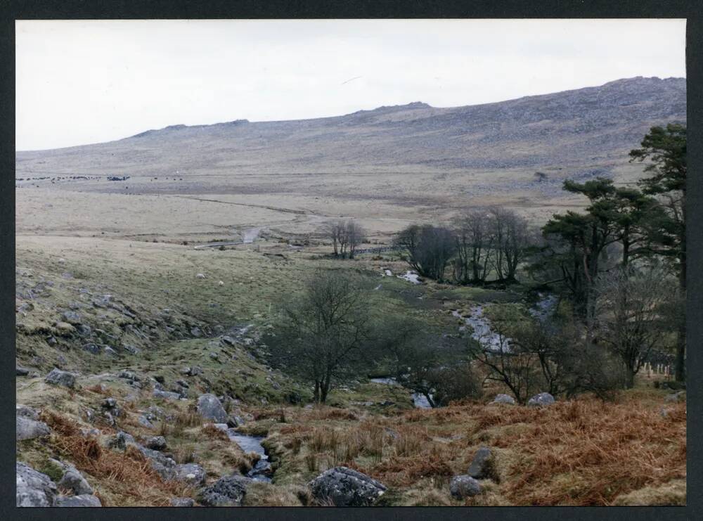 An image from the Dartmoor Trust Archive