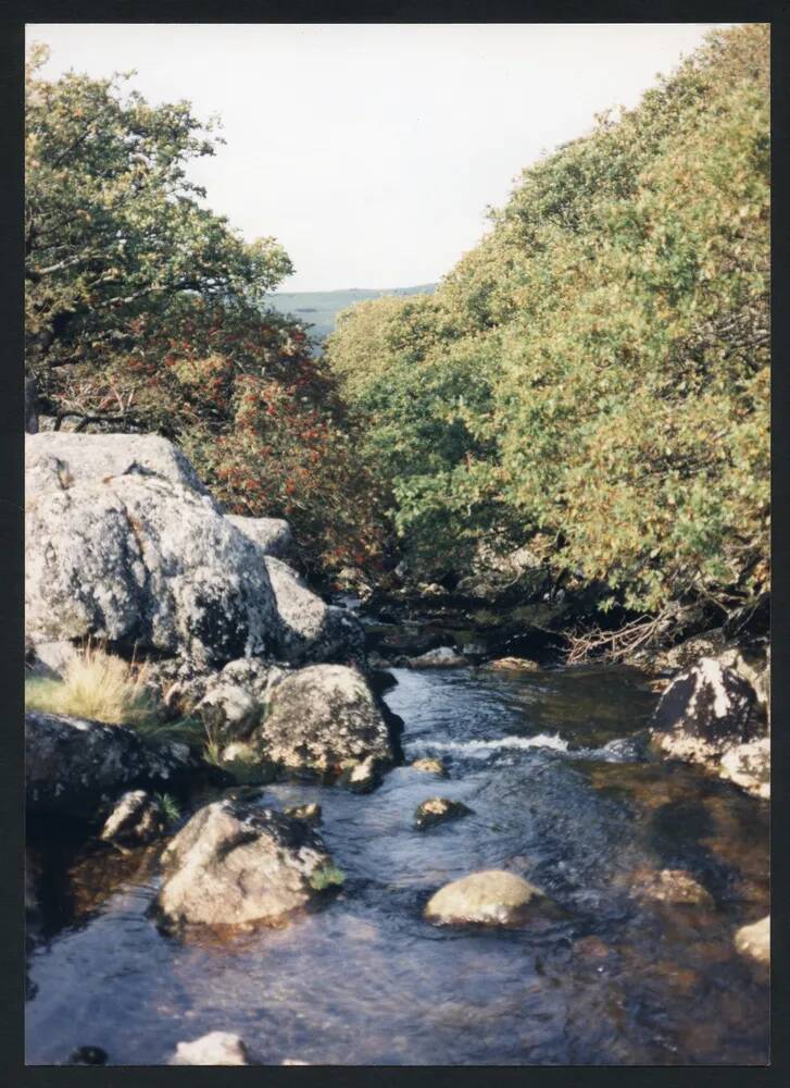 An image from the Dartmoor Trust Archive