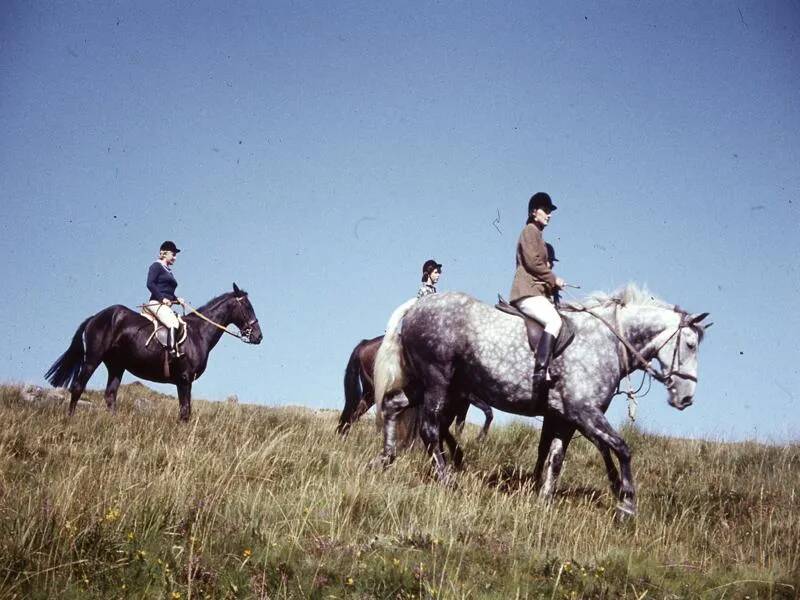 An image from the Dartmoor Trust Archive