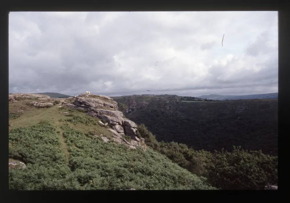 Bench Tor