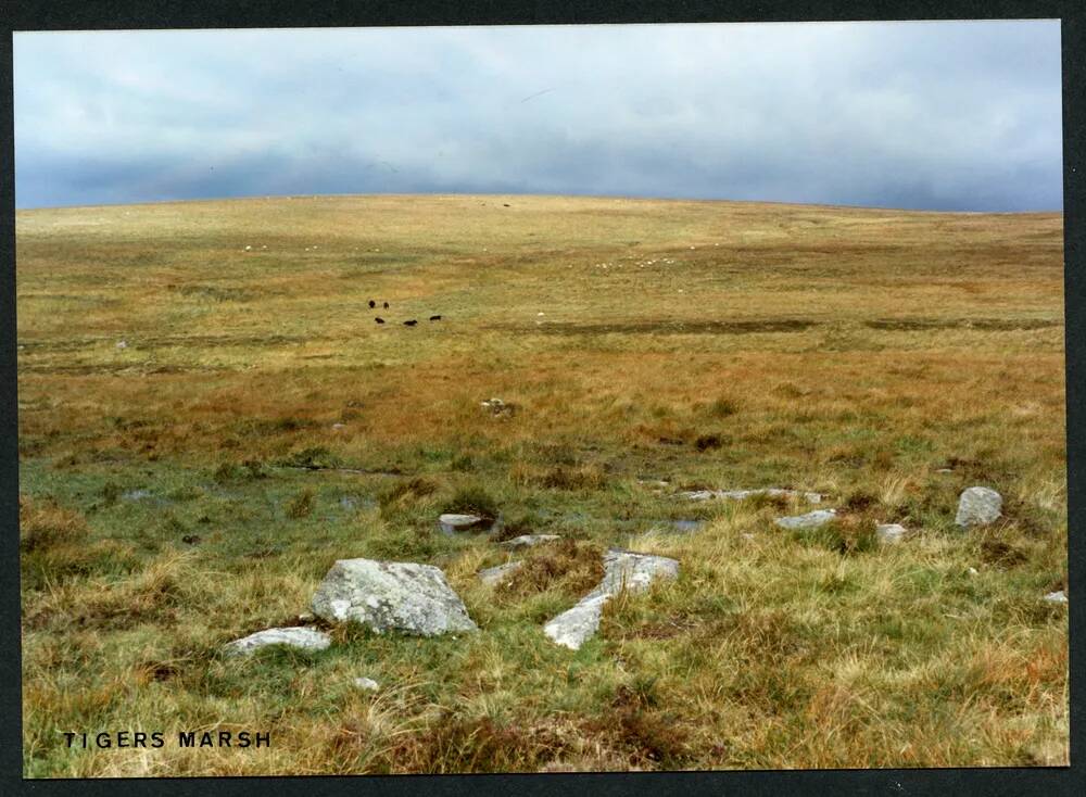 An image from the Dartmoor Trust Archive