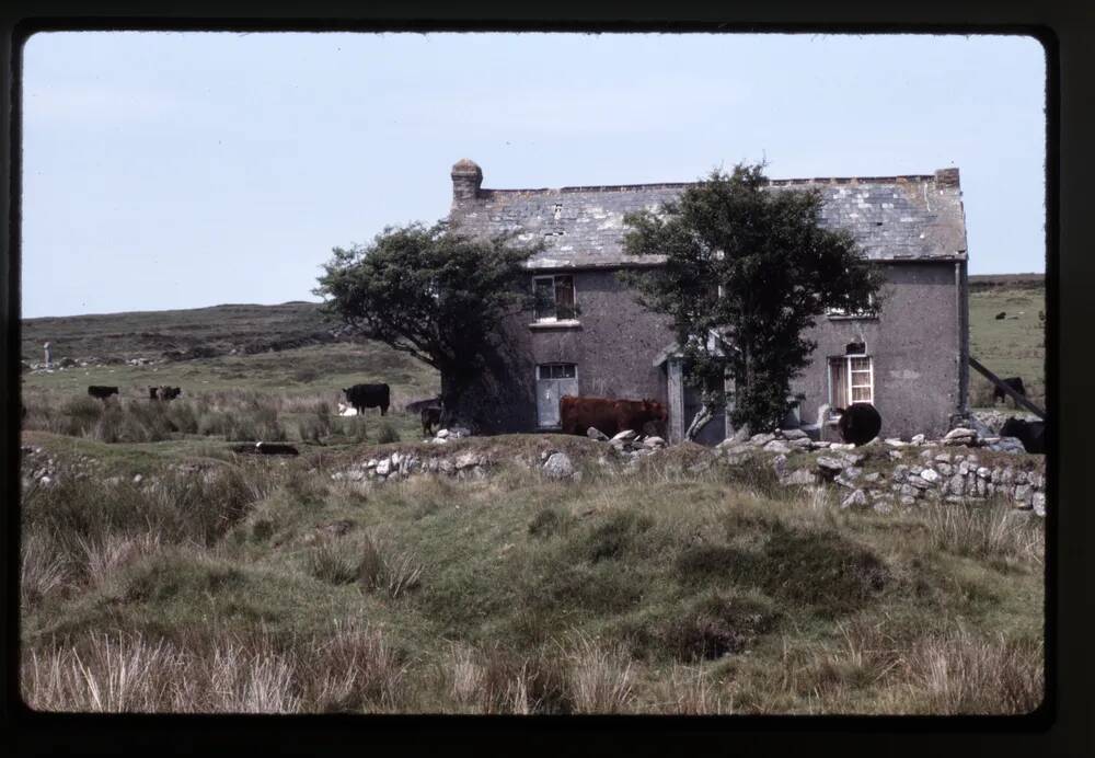 Nuns Cross Farm