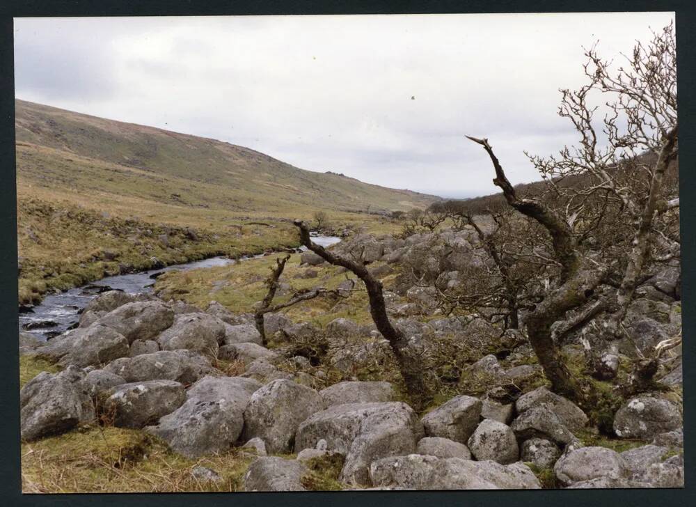 An image from the Dartmoor Trust Archive