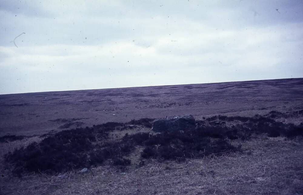 An image from the Dartmoor Trust Archive