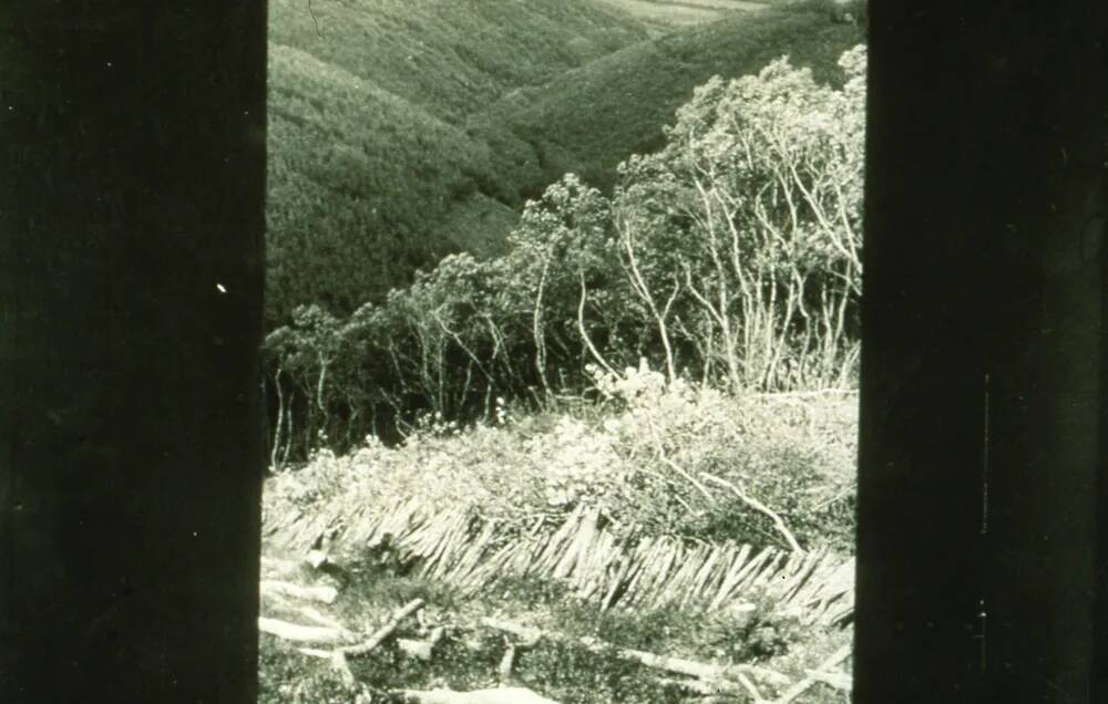 An image from the Dartmoor Trust Archive