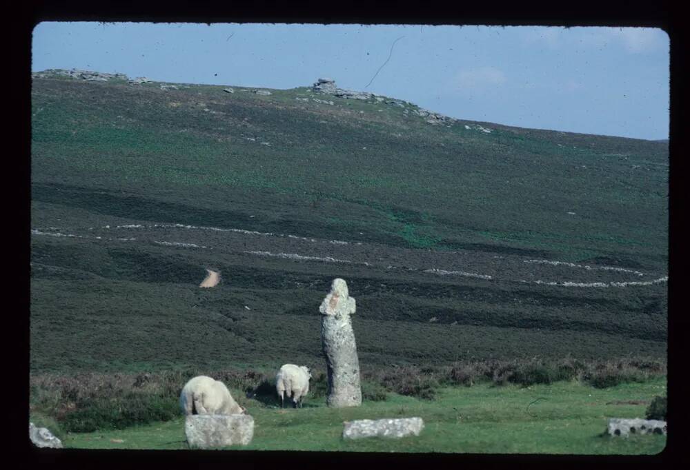 Bennett's Cross