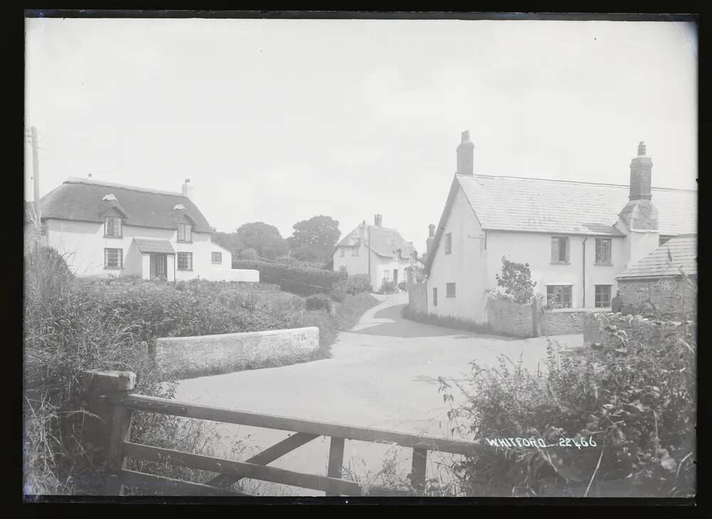 Whitford: street scene, Shute