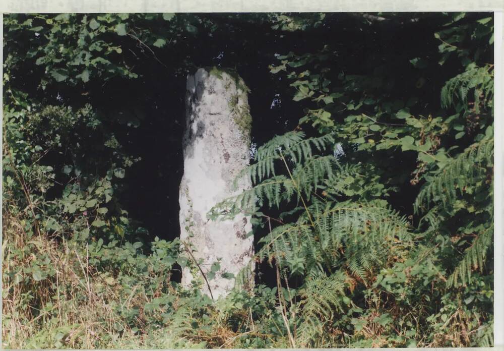 An image from the Dartmoor Trust Archive