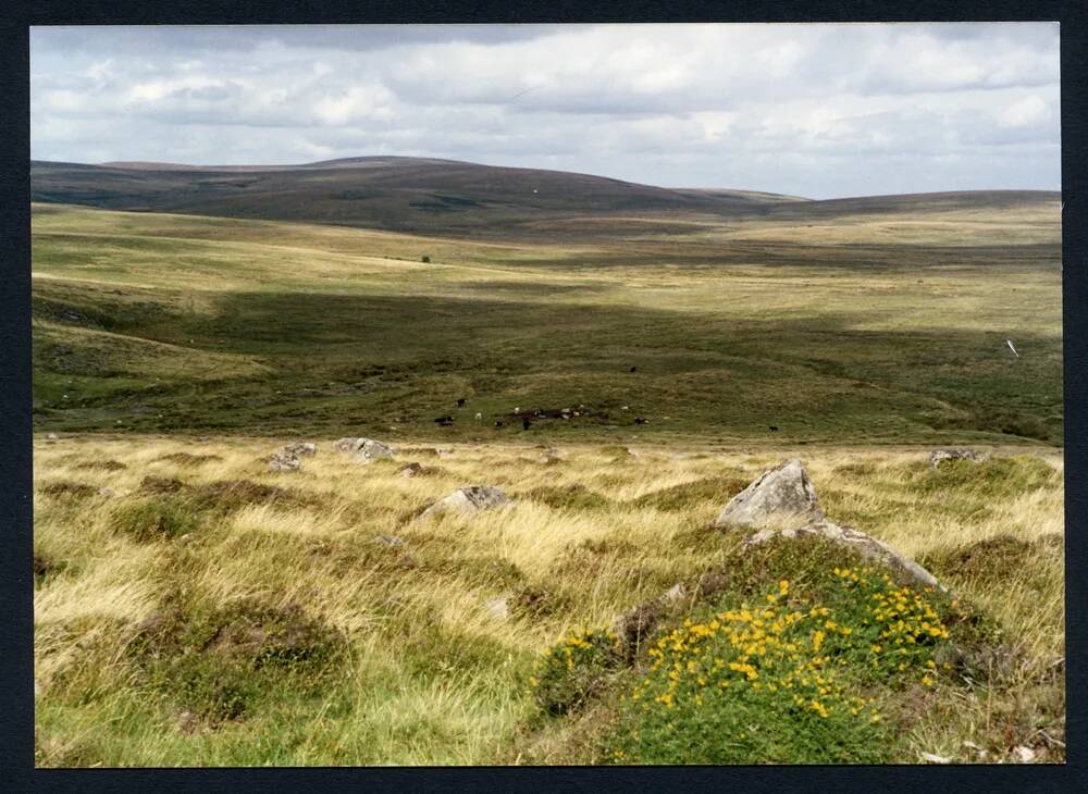 An image from the Dartmoor Trust Archive