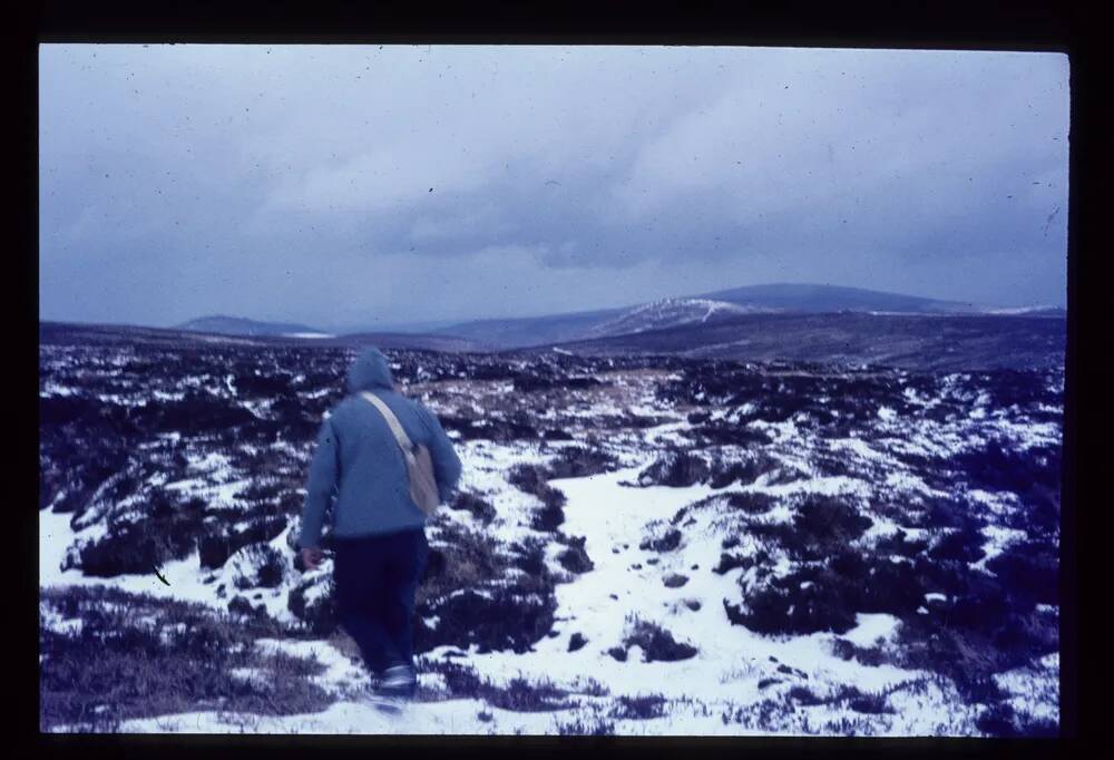 Area around the head of theTaw