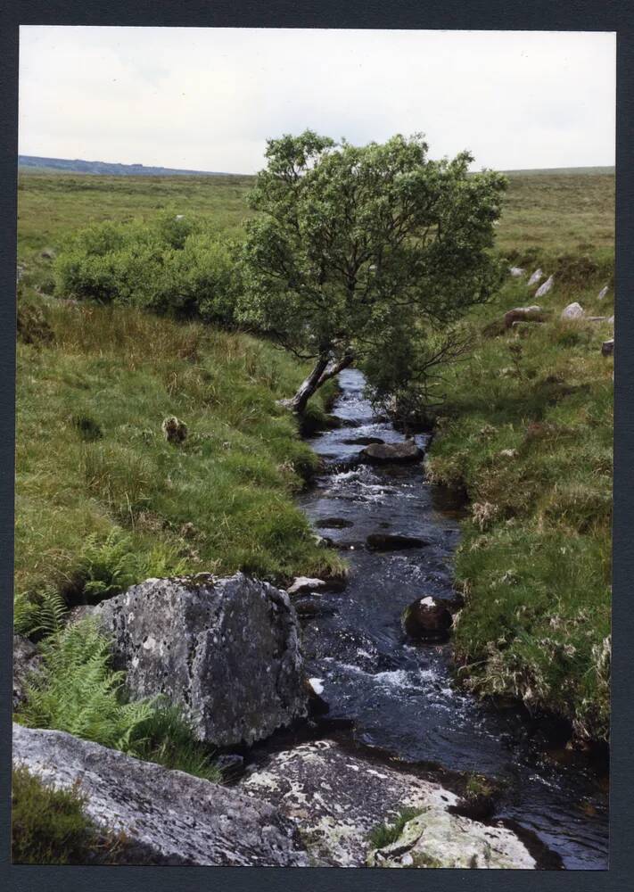 An image from the Dartmoor Trust Archive