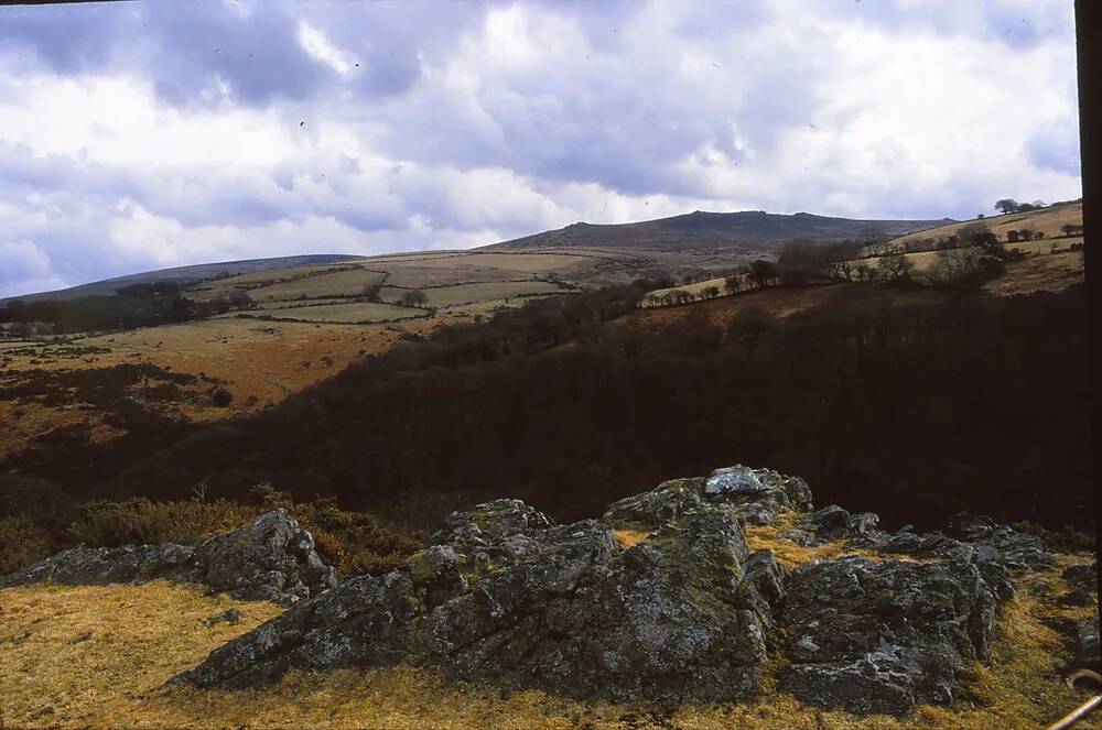 Moor Brook Valley