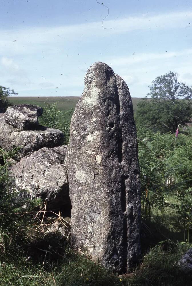 An image from the Dartmoor Trust Archive