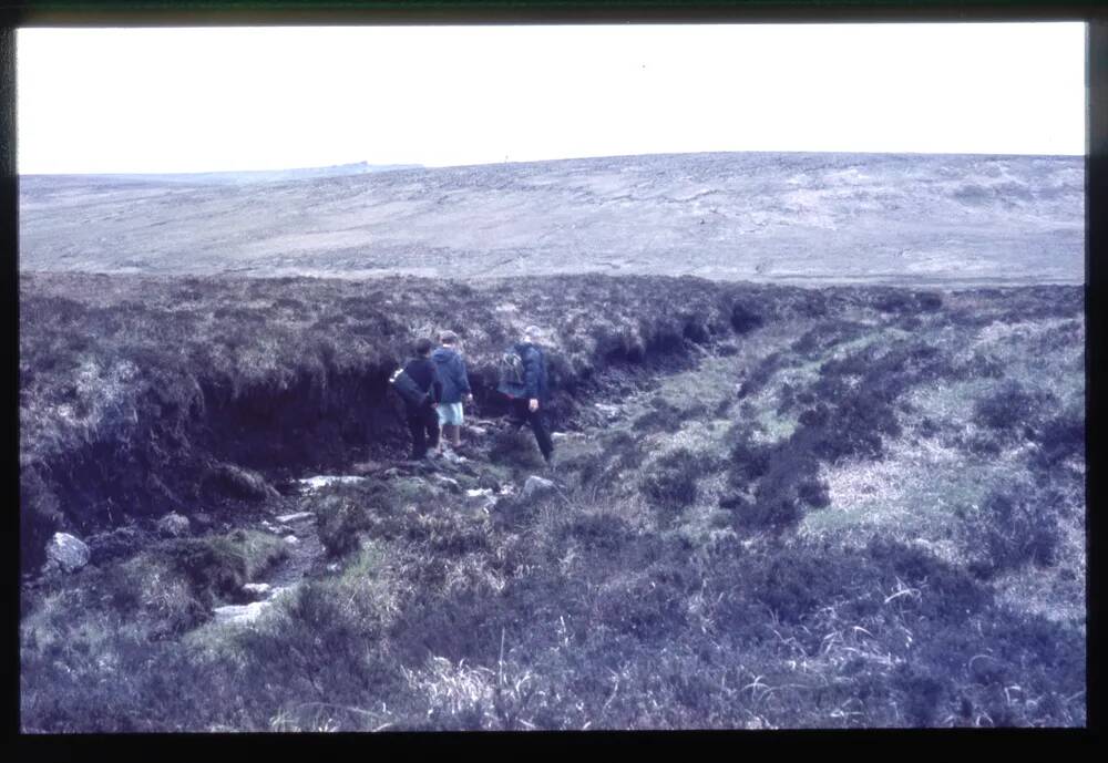 Whitehorse Peat Pass