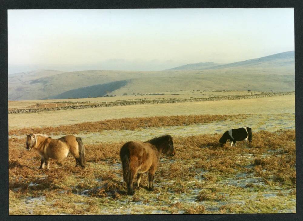 An image from the Dartmoor Trust Archive