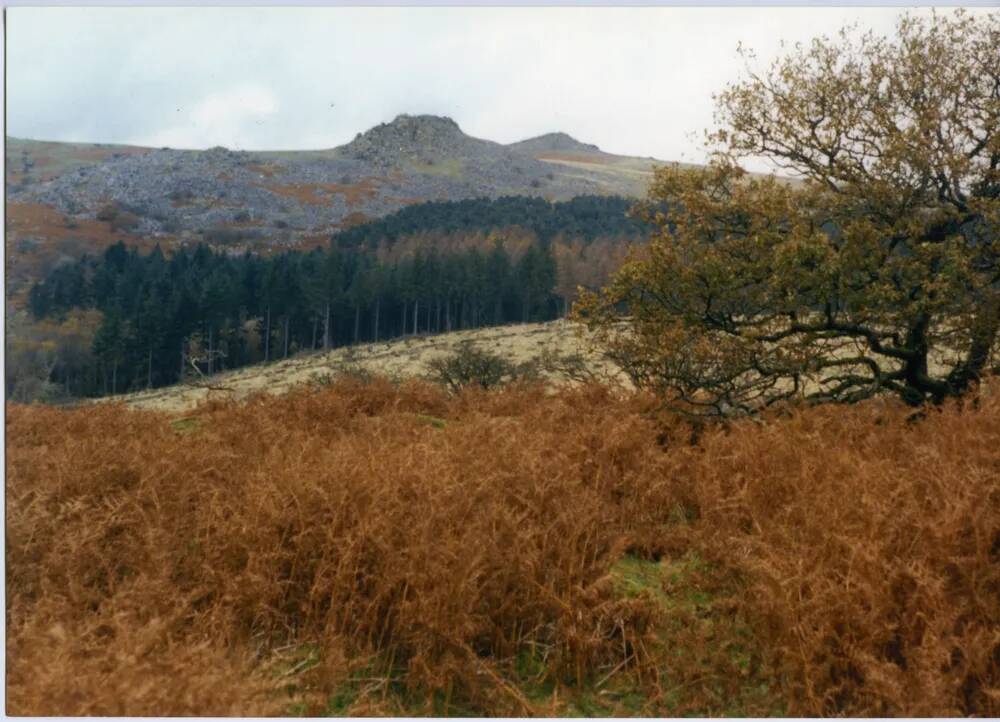 An image from the Dartmoor Trust Archive