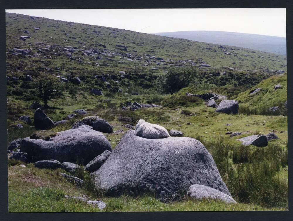 An image from the Dartmoor Trust Archive