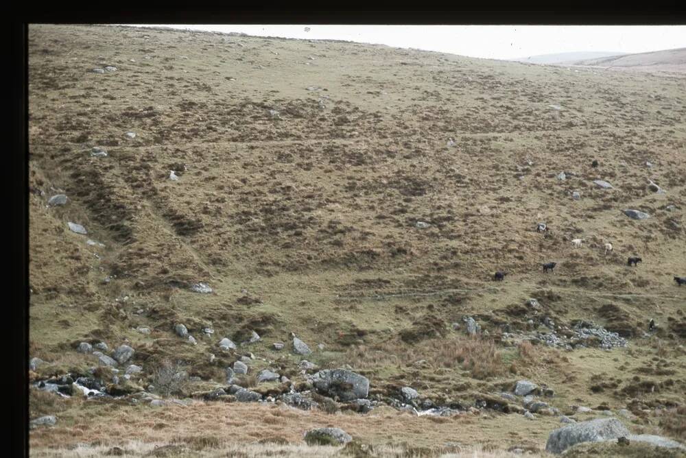 Lower blowing House - Yealm Steps