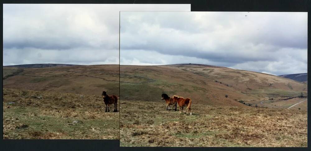 4/21 & 5/21 Eastern Wittaburrow and Ryders Rings from Dockwell Ridge 25/4/1991