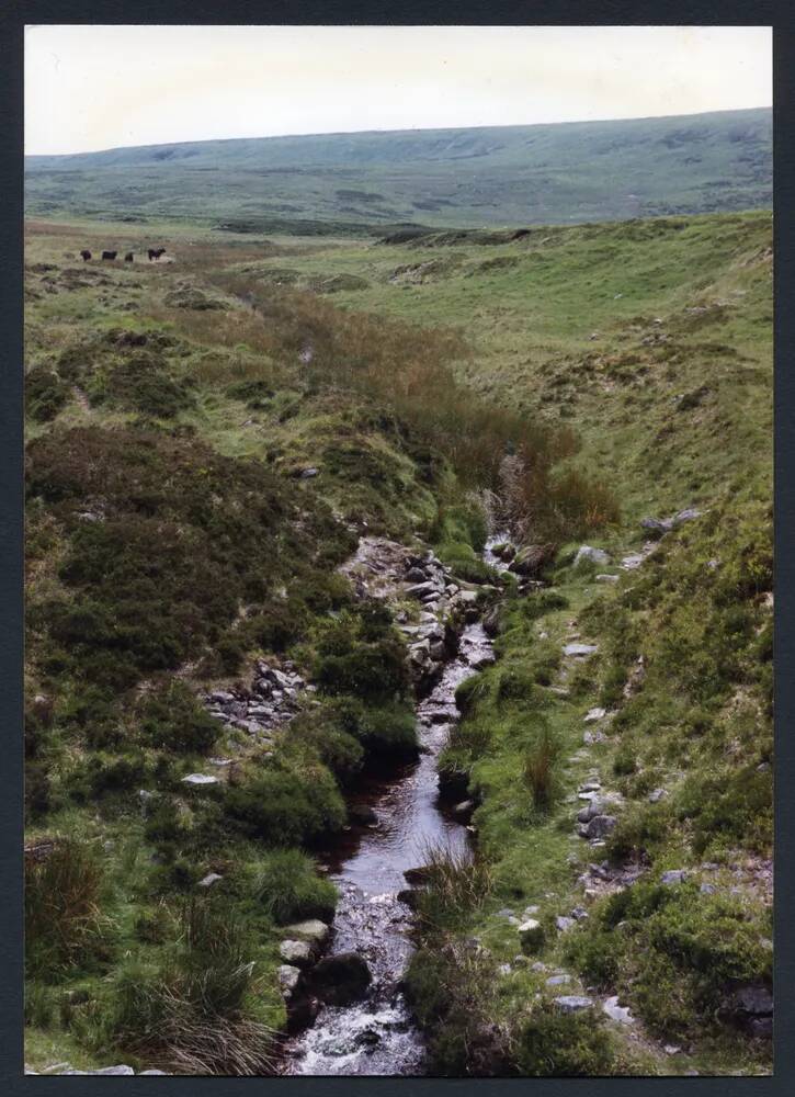 An image from the Dartmoor Trust Archive