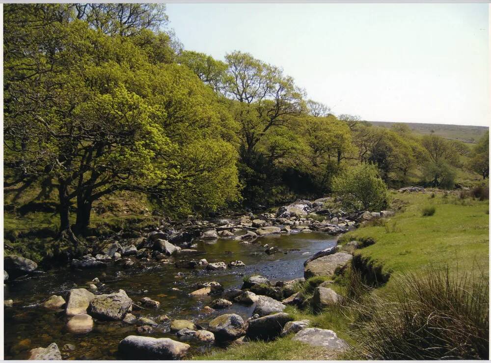 An image from the Dartmoor Trust Archive