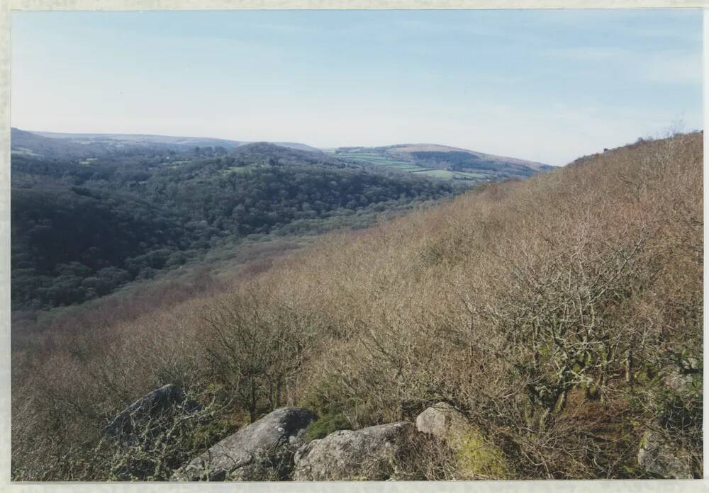 An image from the Dartmoor Trust Archive