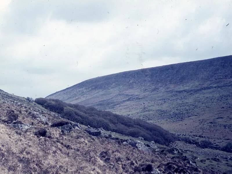 An image from the Dartmoor Trust Archive