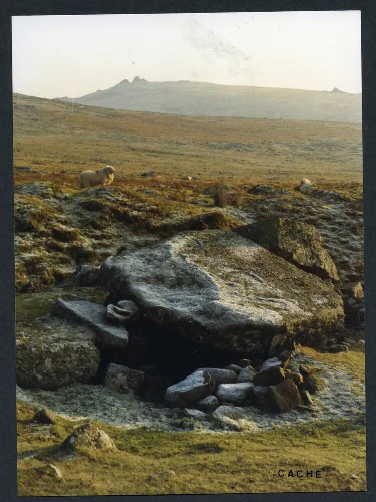 An image from the Dartmoor Trust Archive