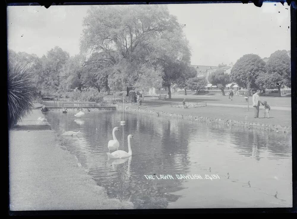 The Lawn, Dawlish, with swans 