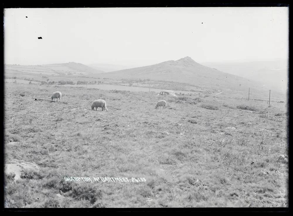 Sharp Tor, Lydford