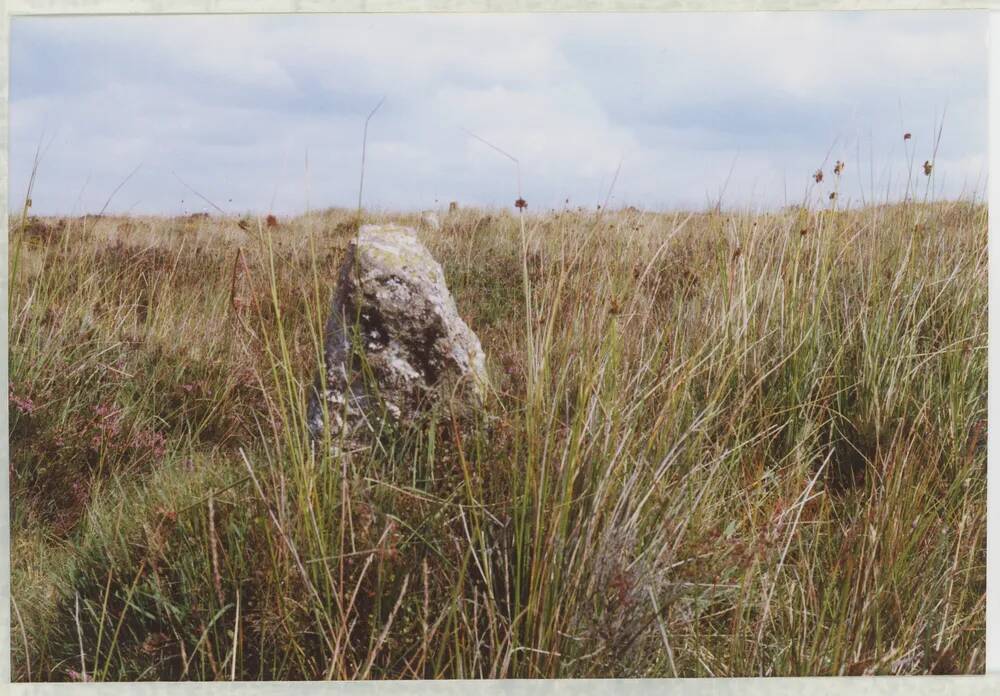 An image from the Dartmoor Trust Archive